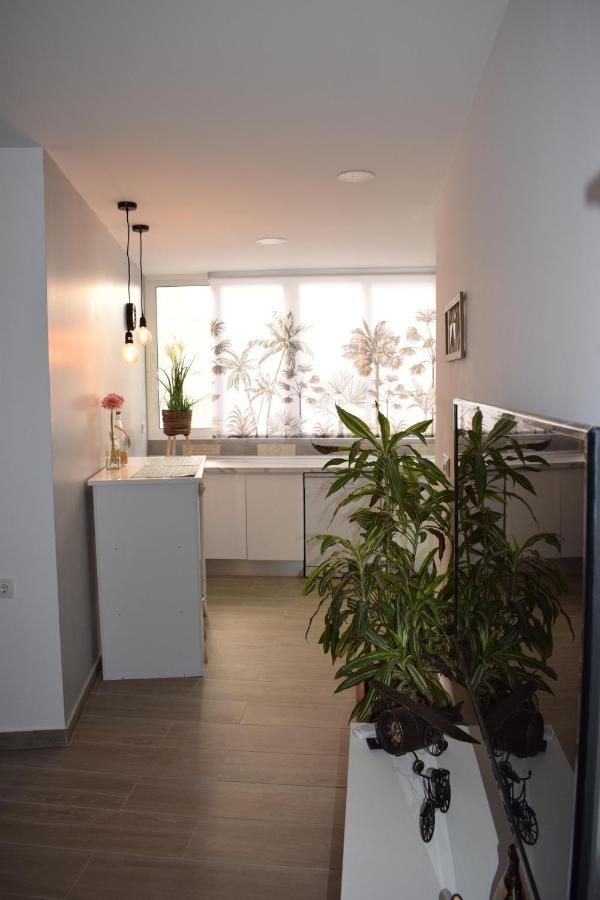 Apartamento Ladevesa Elche Bagian luar foto