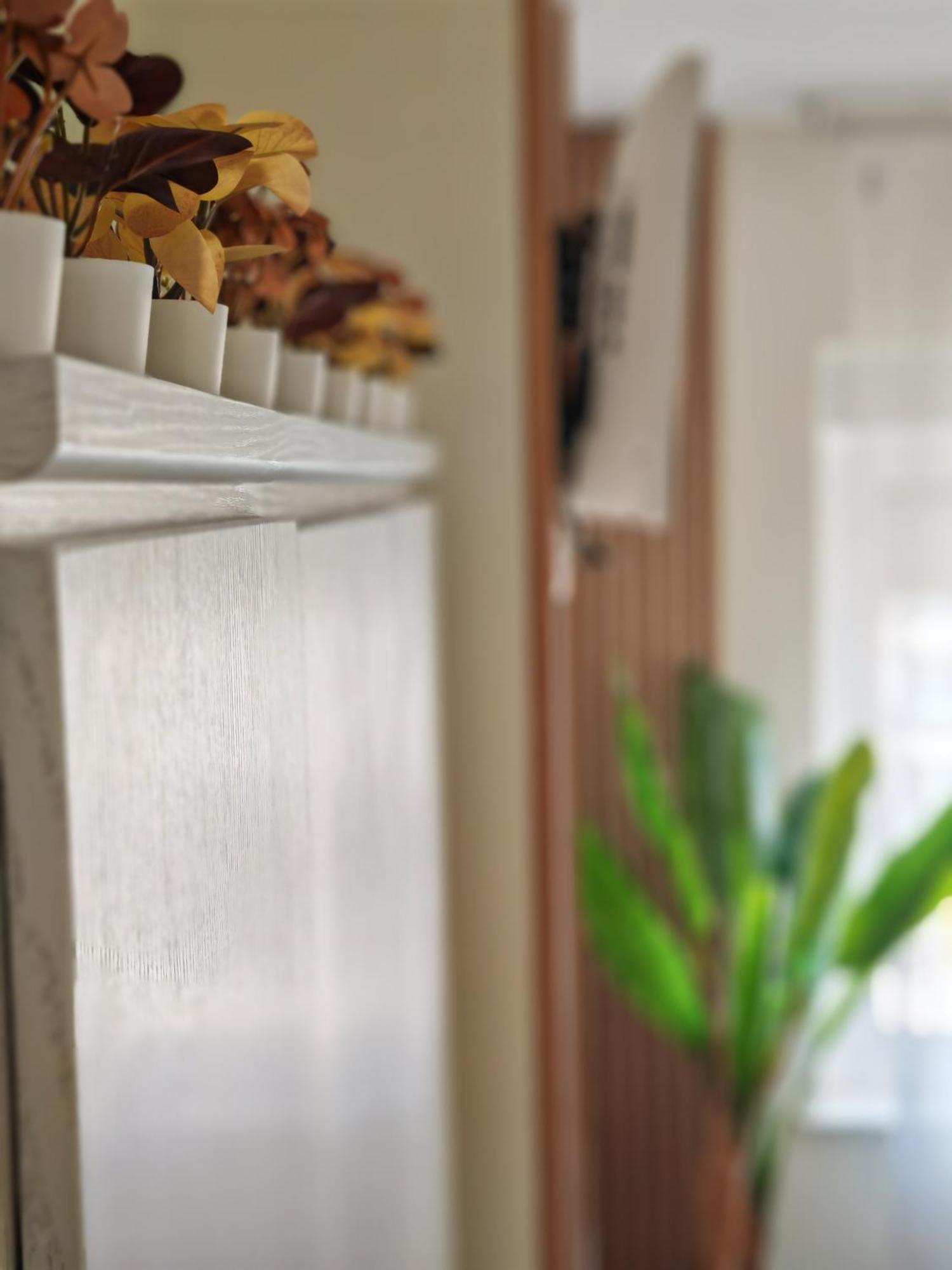 Apartamento Ladevesa Elche Bagian luar foto